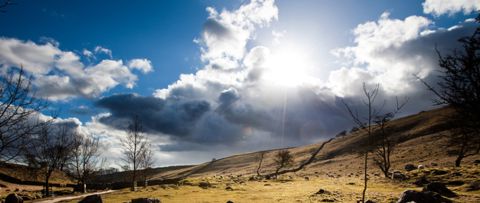 Campus and community wellbeing