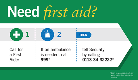 Need First Aid Poster - Ambulance Calls